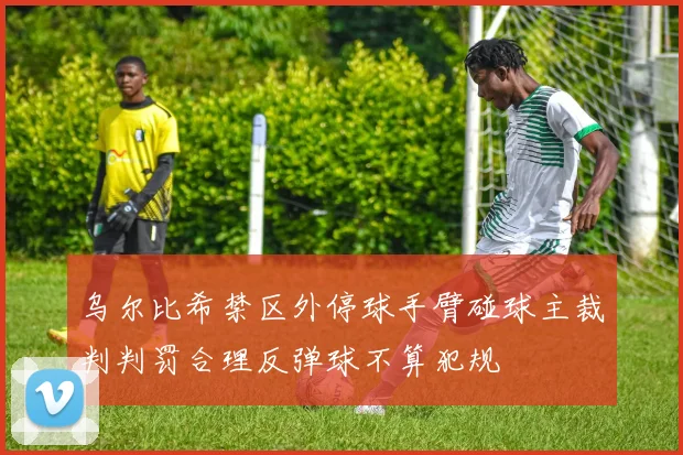 乌尔比希禁区外停球手臂碰球主裁判判罚合理反弹球不算犯规